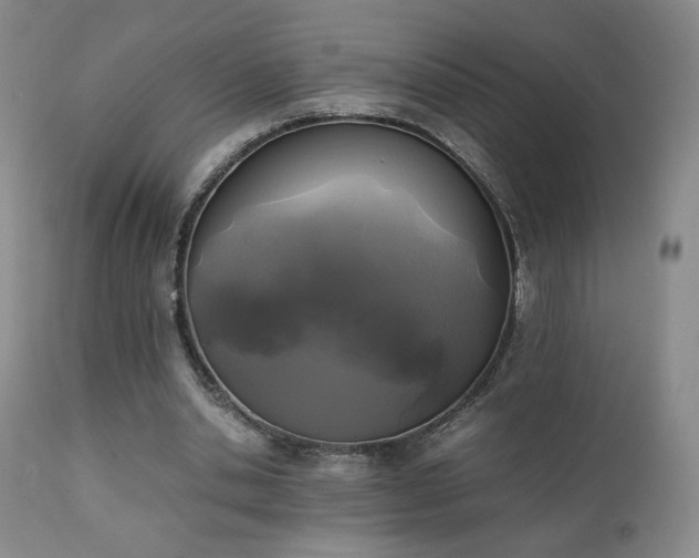 X0000111150438200906301341