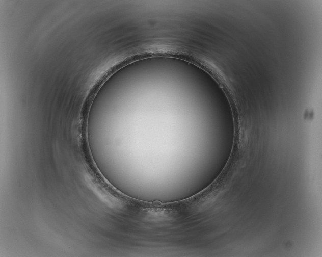X0000111150439200906301341