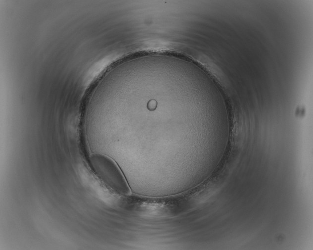 X0000111150440200906301341