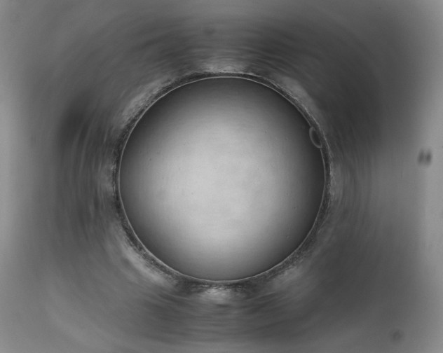 X0000111150441200906301341