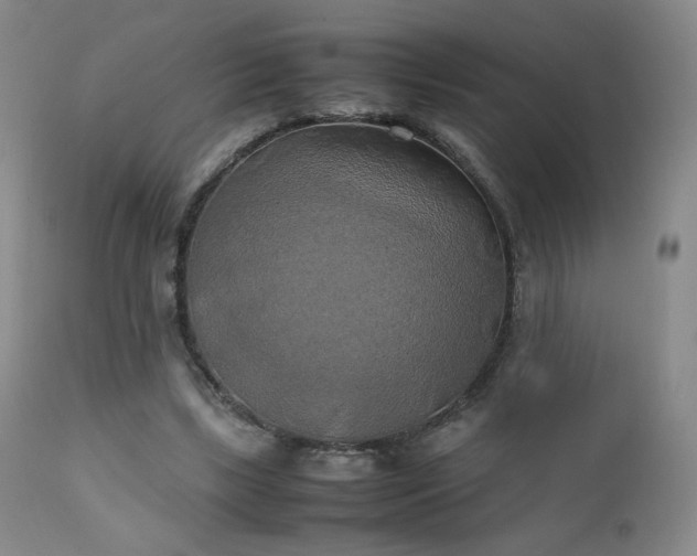 X0000111150443200906301341