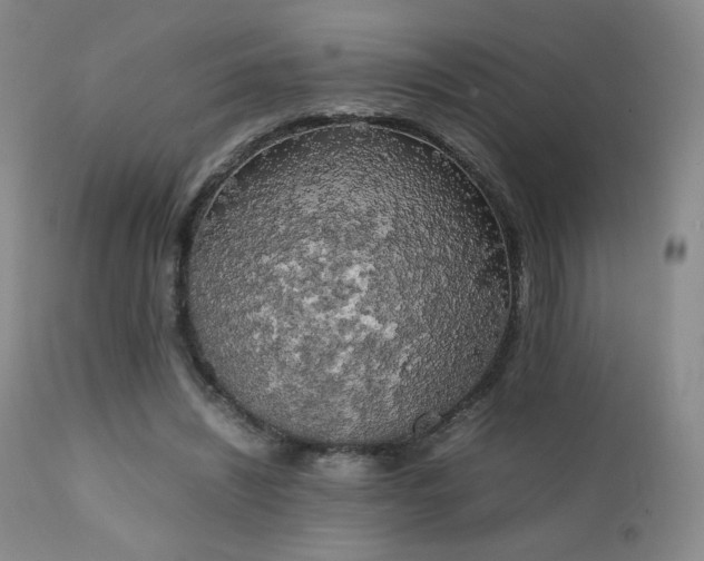 X0000111150444200906301341
