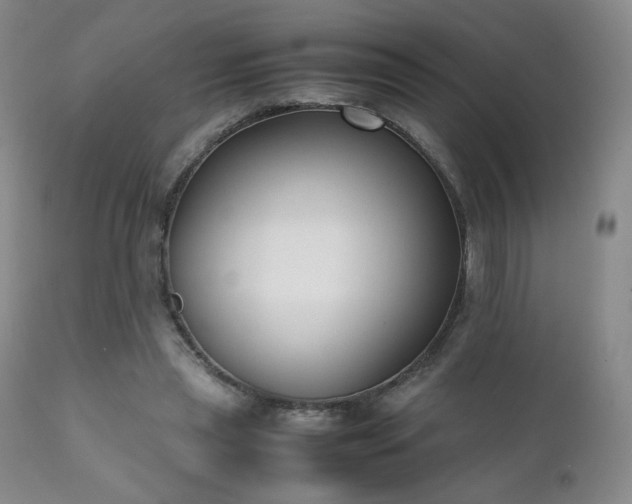 X0000111150445200906301341