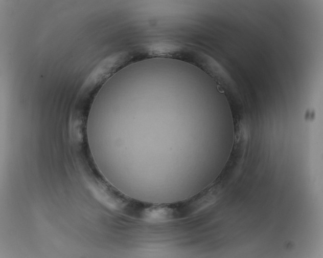 X0000111150452200906301341