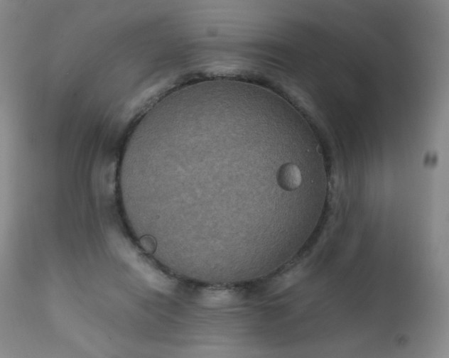 X0000111150454200906301341