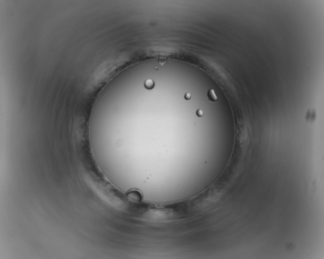 X0000111150455200906301341