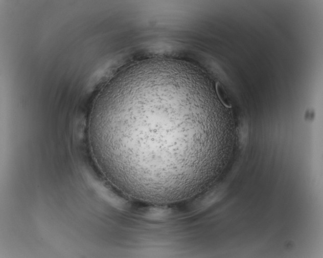 X0000111150458200906301341