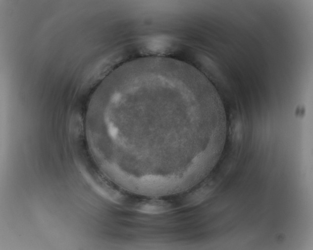 X0000111150459200906301341