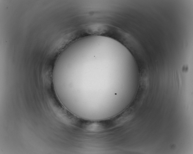 X0000111150460200906301341