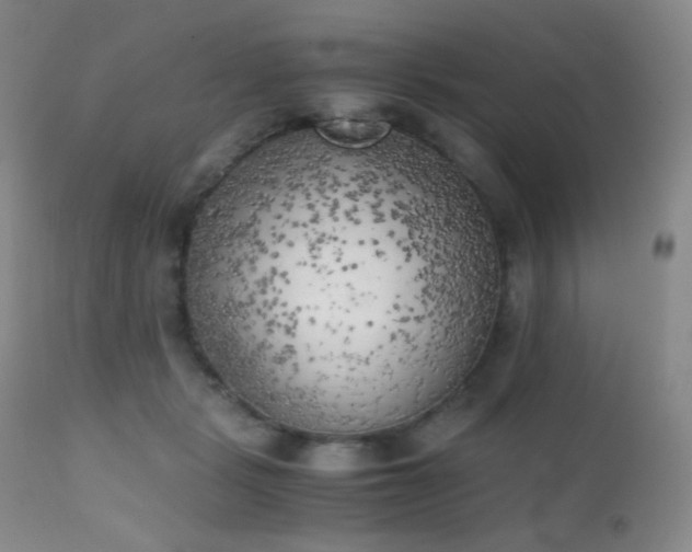 X0000111150461200906301341