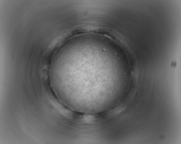 X0000111150462200906301341