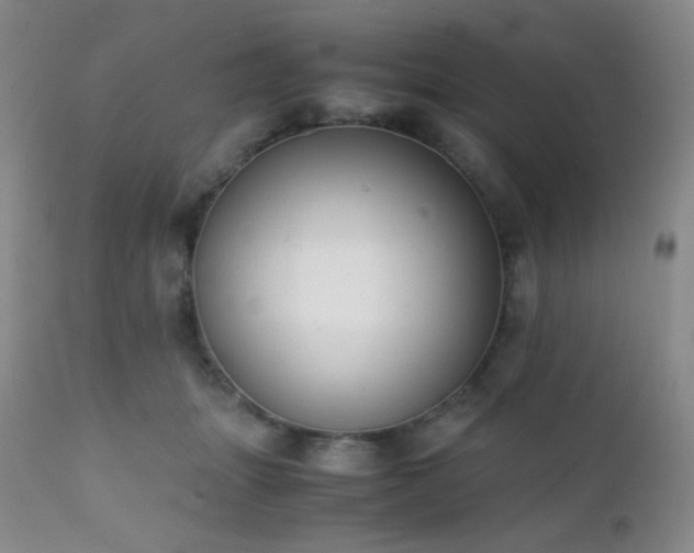 X0000111150463200906301341