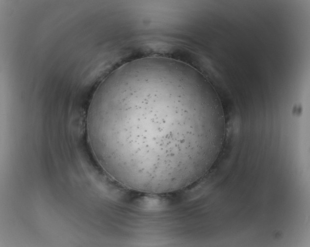 X0000111150464200906301341