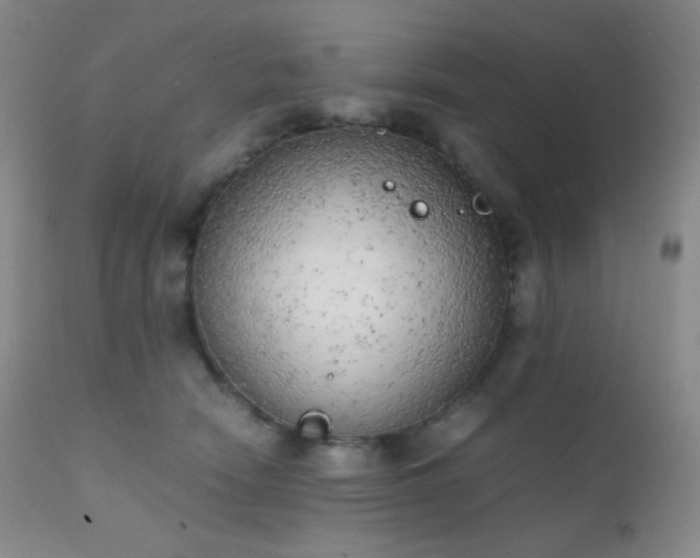 X0000111150466200906301341