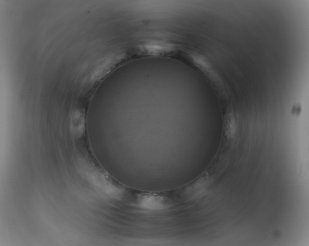 X0000111150471200906301341