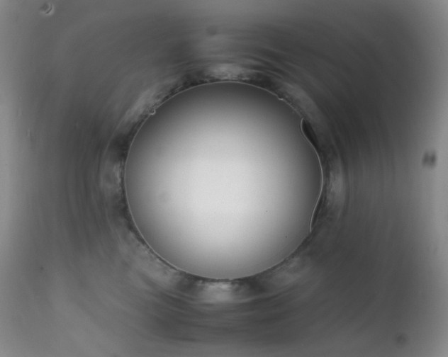 X0000111150473200906301341