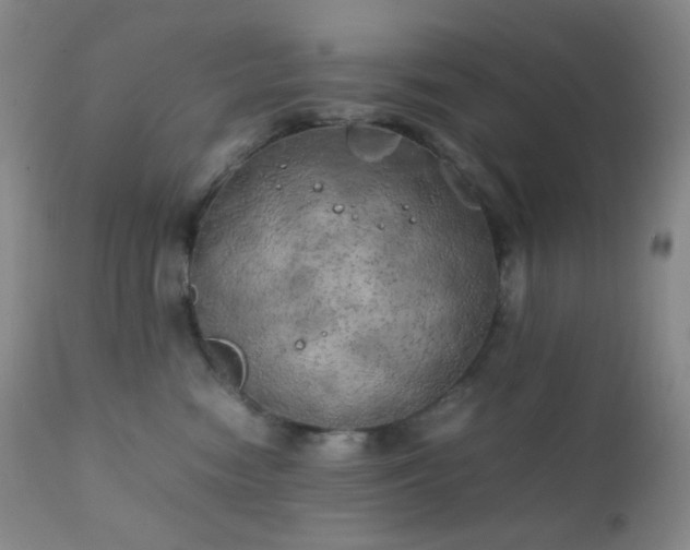 X0000111150474200906301341