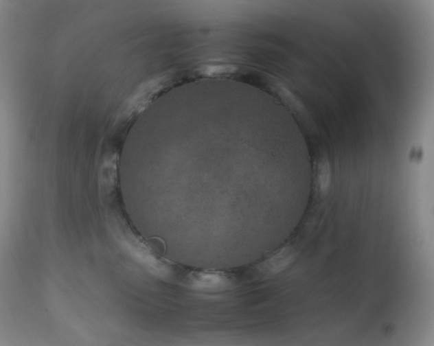 X0000111150475200906301341