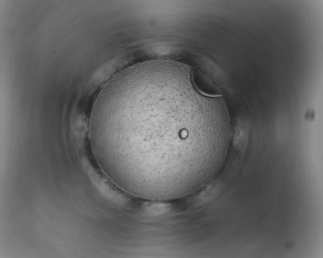 X0000111150476200906301341