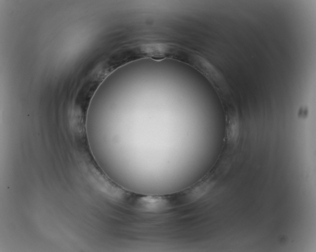 X0000111150477200906301341