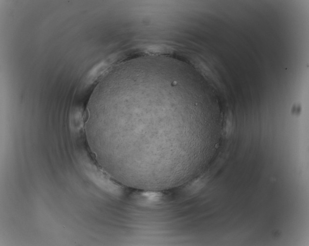 X0000111150478200906301341