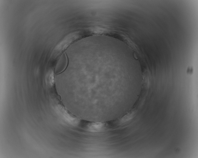 X0000111150479200906301341