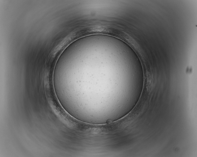 X0000111150482200906301341