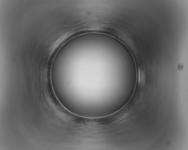 X0000111150483200906301341