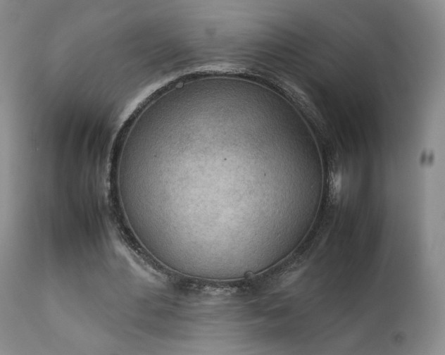 X0000111150484200906301341