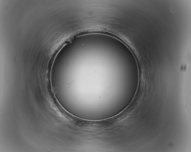 X0000111150485200906301341