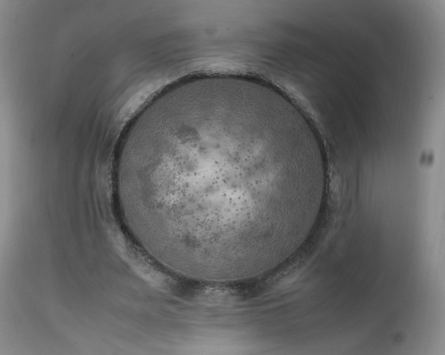 X0000111150487200906301341