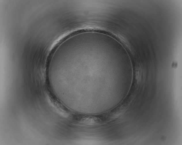 X0000111150488200906301340