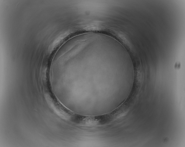 X0000111150491200906301340