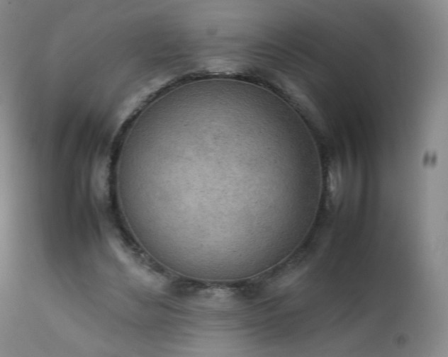 X0000111150492200906301340