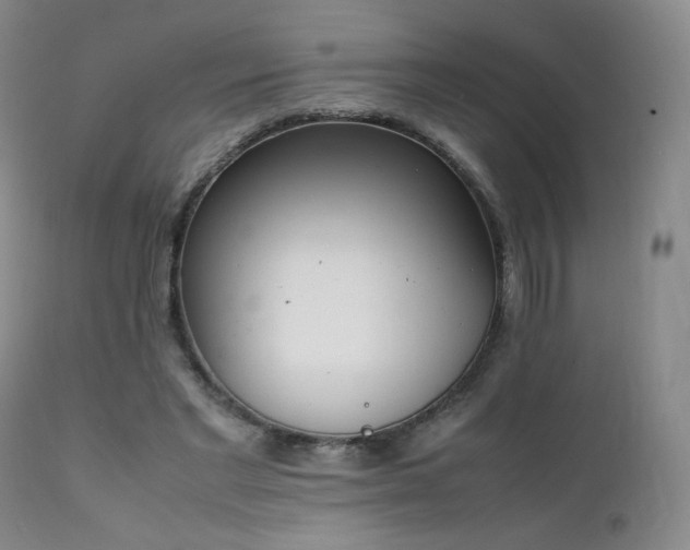 X0000111150493200906301340