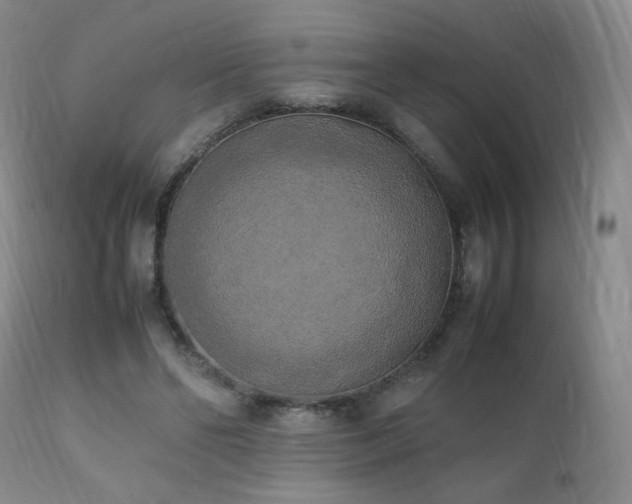 X0000111150494200906301340