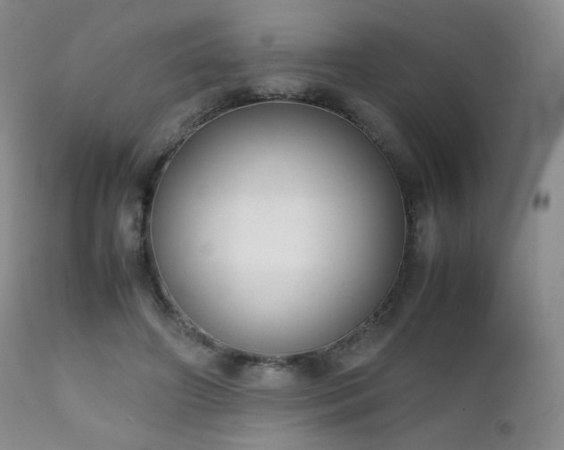 X0000111150498200906301340