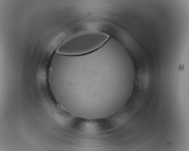 X0000111150500200906301340