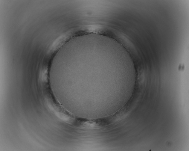 X0000111150502200906301340