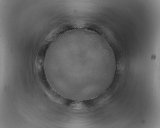 X0000111150503200906301340