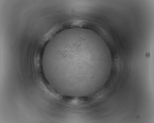 X0000111150504200906301340