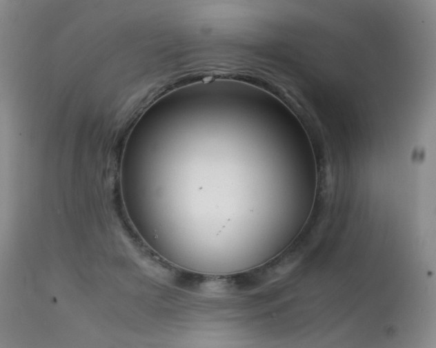 X0000111150505200906301340