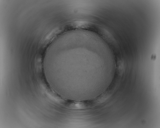 X0000111150506200906301340