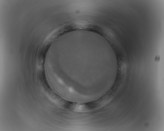 X0000111150507200906301340