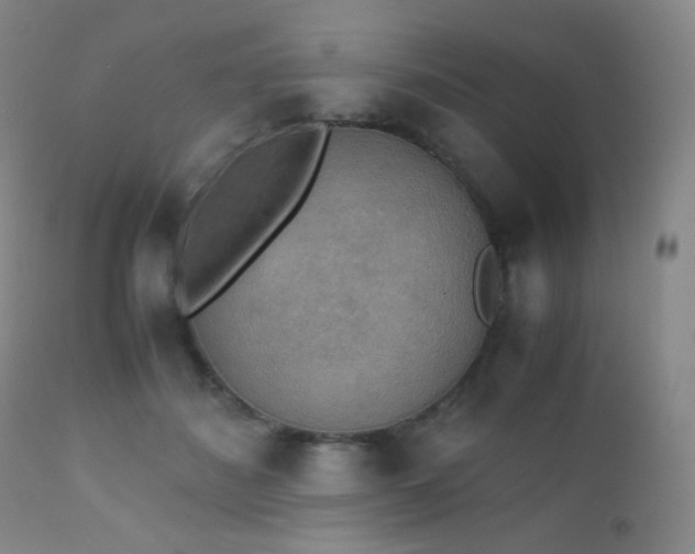 X0000111150508200906301340