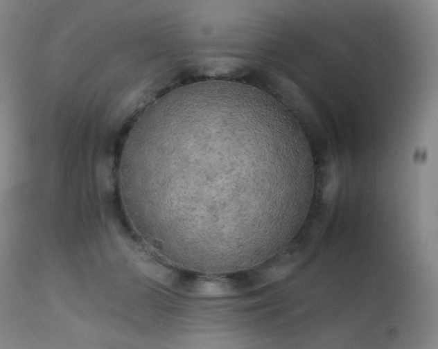 X0000111150510200906301340