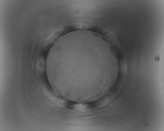 X0000111150511200906301340