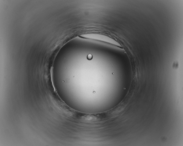 X0000111150512200906301340