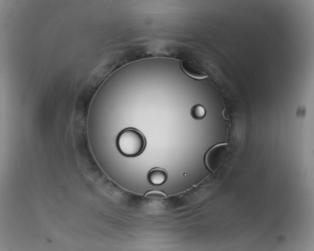 X0000111150513200906301340