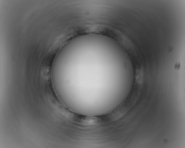 X0000111150514200906301340